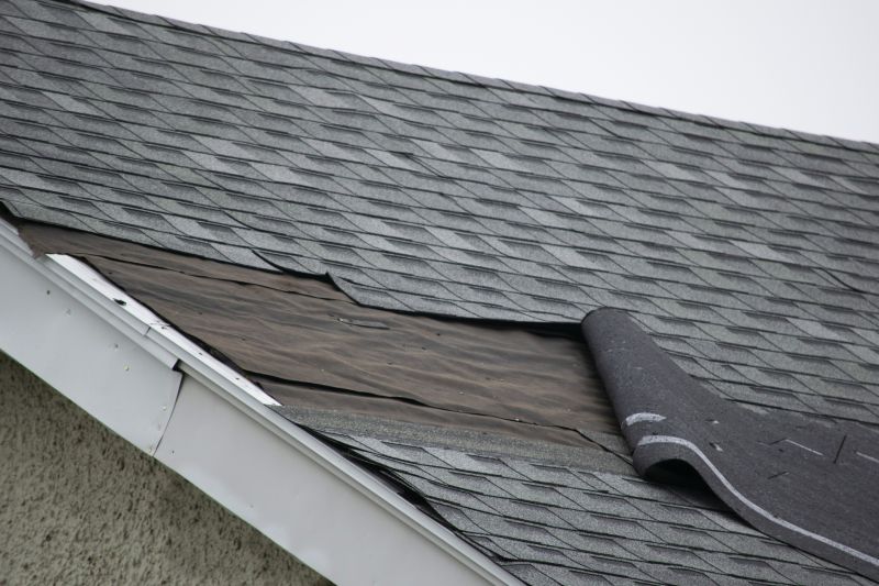 Damaged Shingles Replacement
